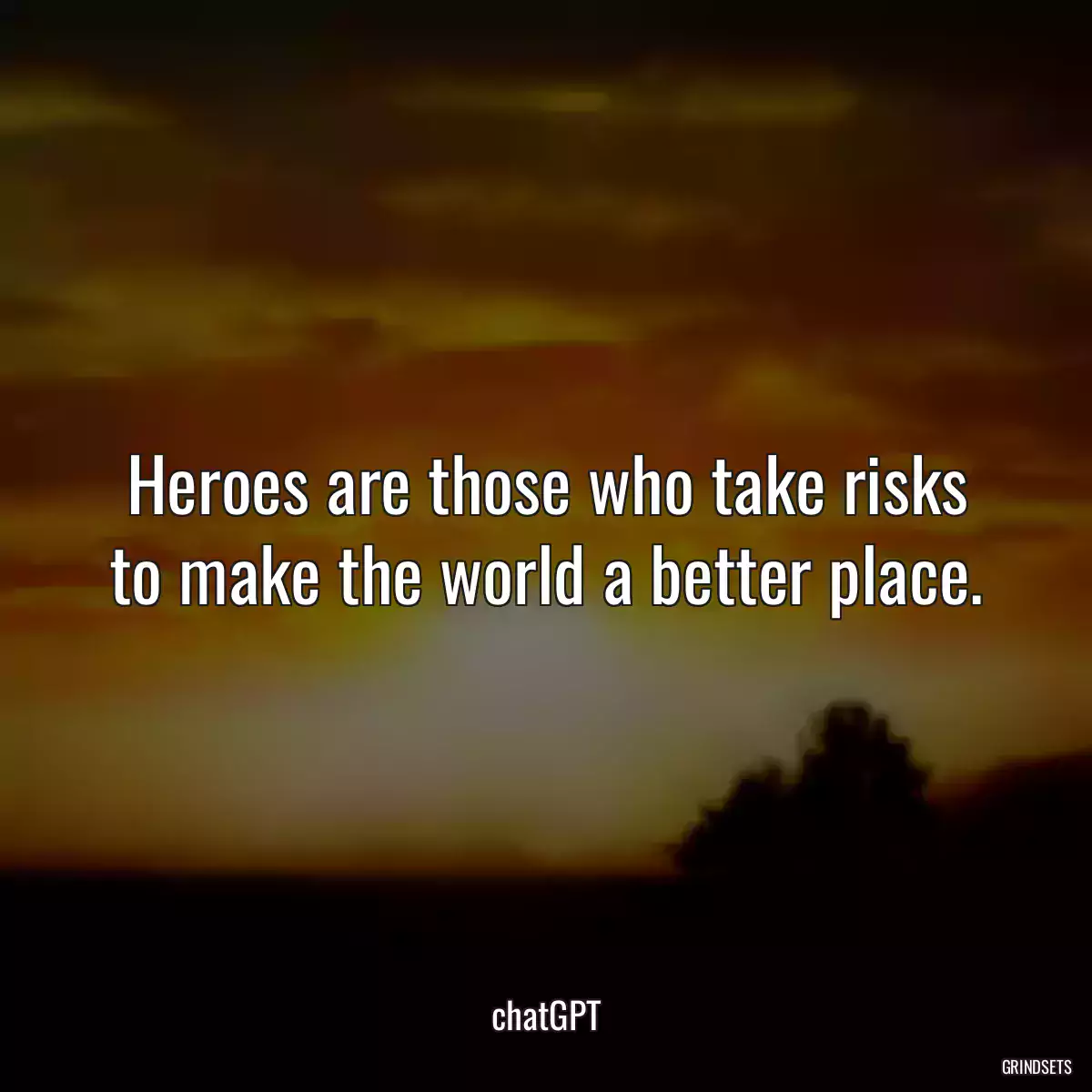 Heroes are those who take risks to make the world a better place.