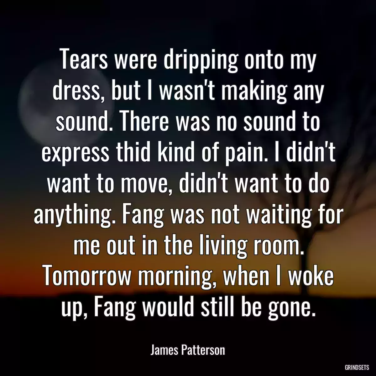 Tears were dripping onto my dress, but I wasn\'t making any sound. There was no sound to express thid kind of pain. I didn\'t want to move, didn\'t want to do anything. Fang was not waiting for me out in the living room. Tomorrow morning, when I woke up, Fang would still be gone.