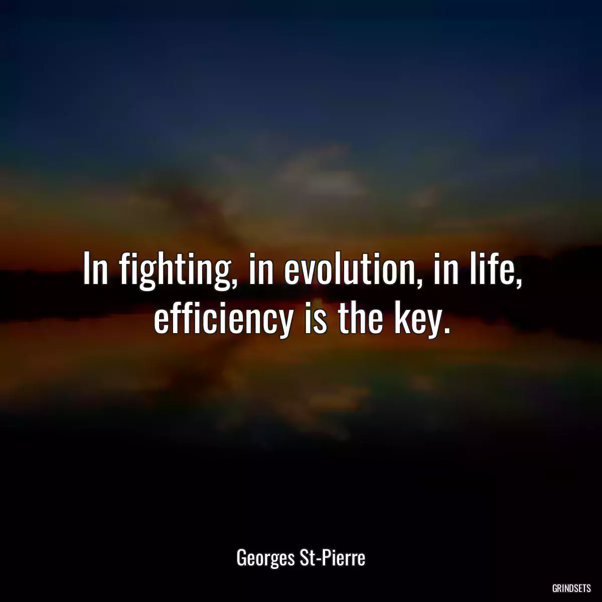 In fighting, in evolution, in life, efficiency is the key.