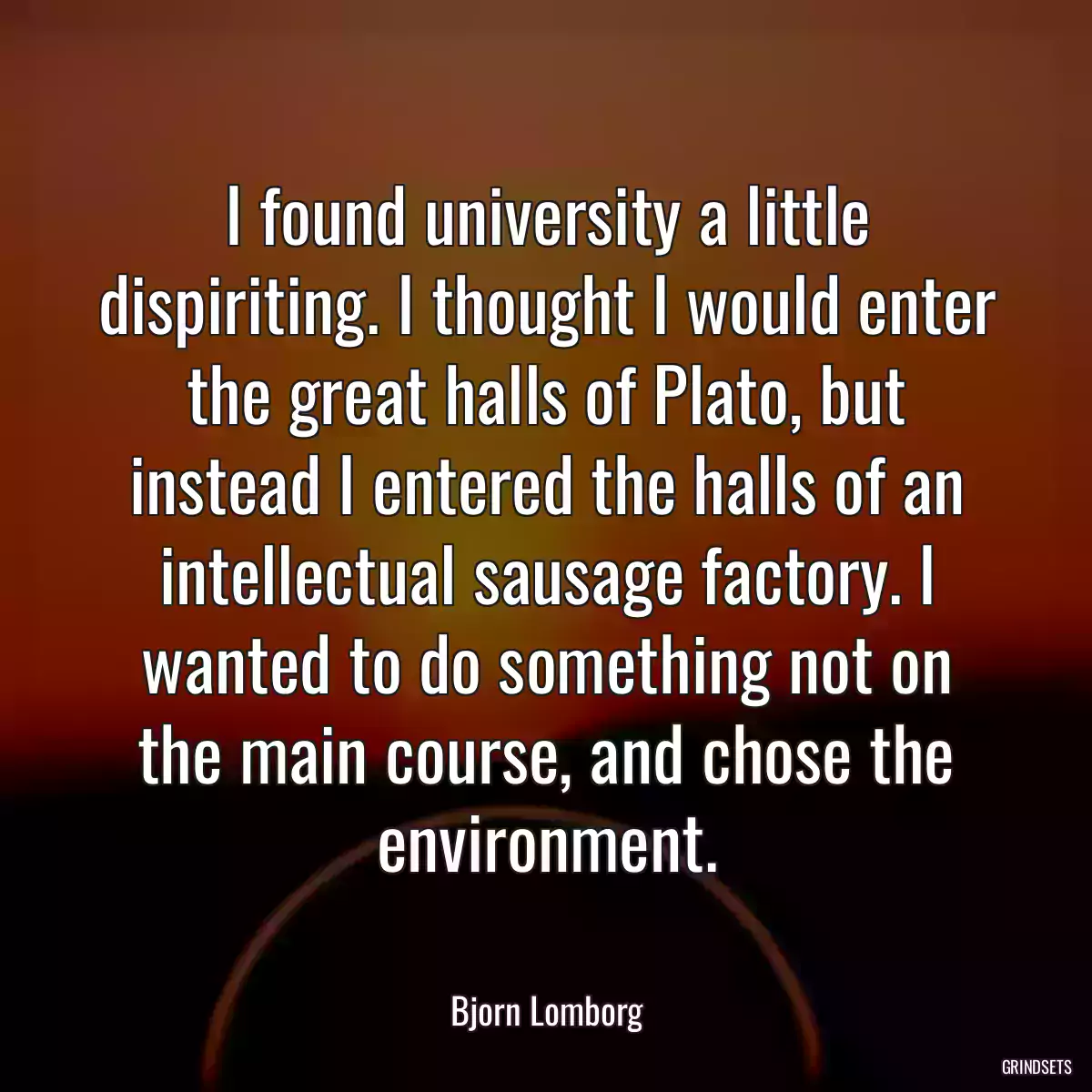 I found university a little dispiriting. I thought I would enter the great halls of Plato, but instead I entered the halls of an intellectual sausage factory. I wanted to do something not on the main course, and chose the environment.