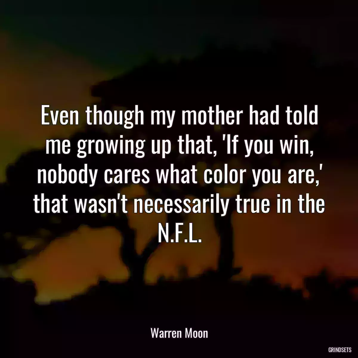 Even though my mother had told me growing up that, \'If you win, nobody cares what color you are,\' that wasn\'t necessarily true in the N.F.L.