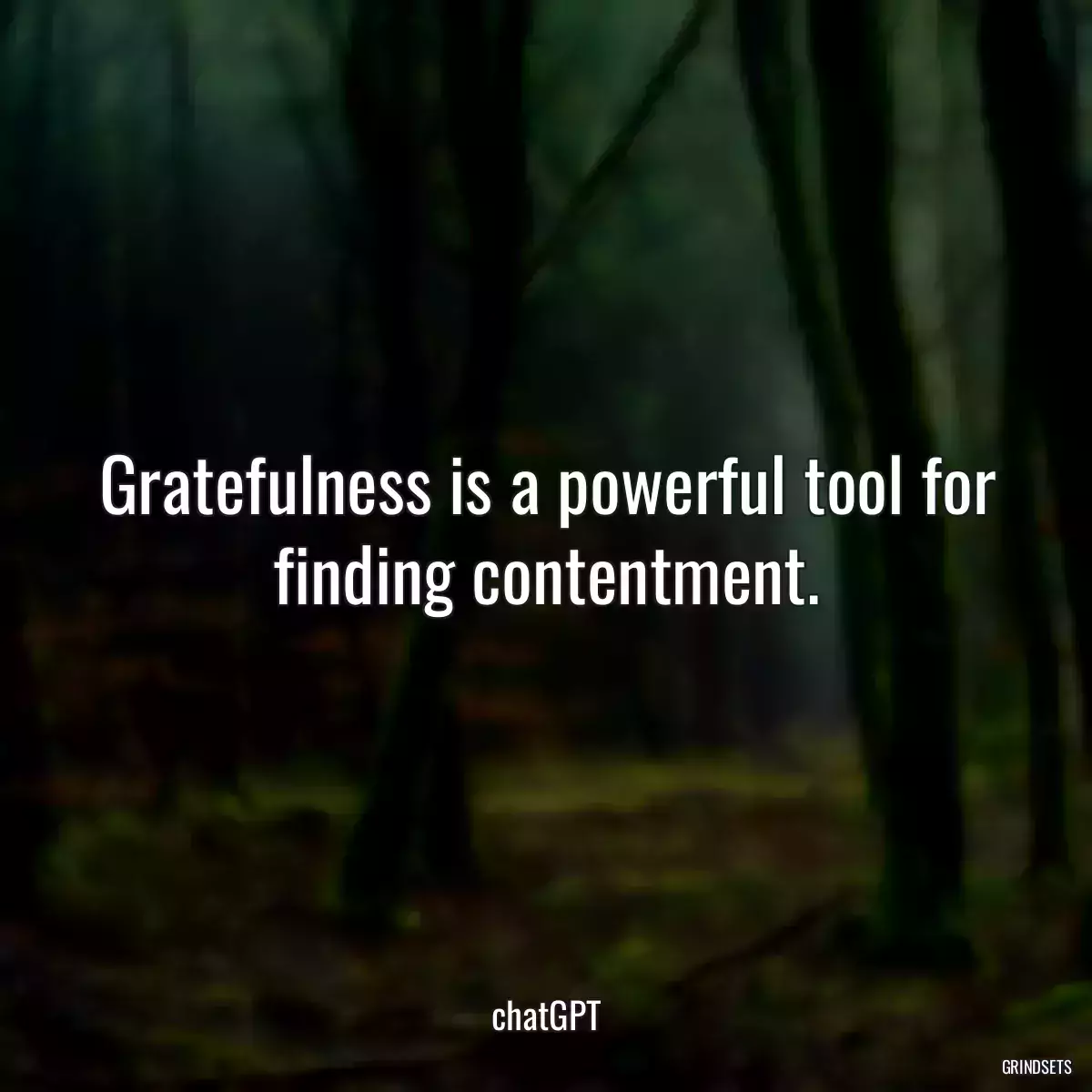 Gratefulness is a powerful tool for finding contentment.