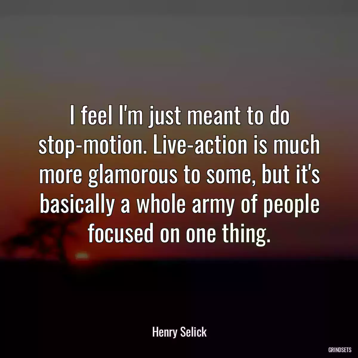 I feel I\'m just meant to do stop-motion. Live-action is much more glamorous to some, but it\'s basically a whole army of people focused on one thing.