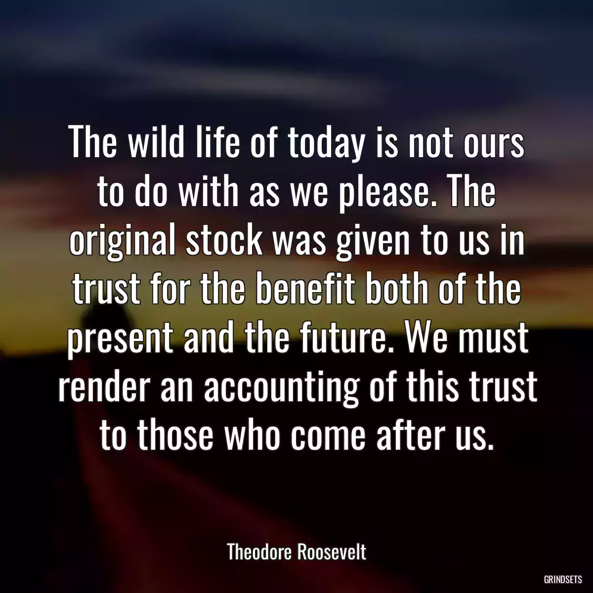 The wild life of today is not ours to do with as we please. The original stock was given to us in trust for the benefit both of the present and the future. We must render an accounting of this trust to those who come after us.