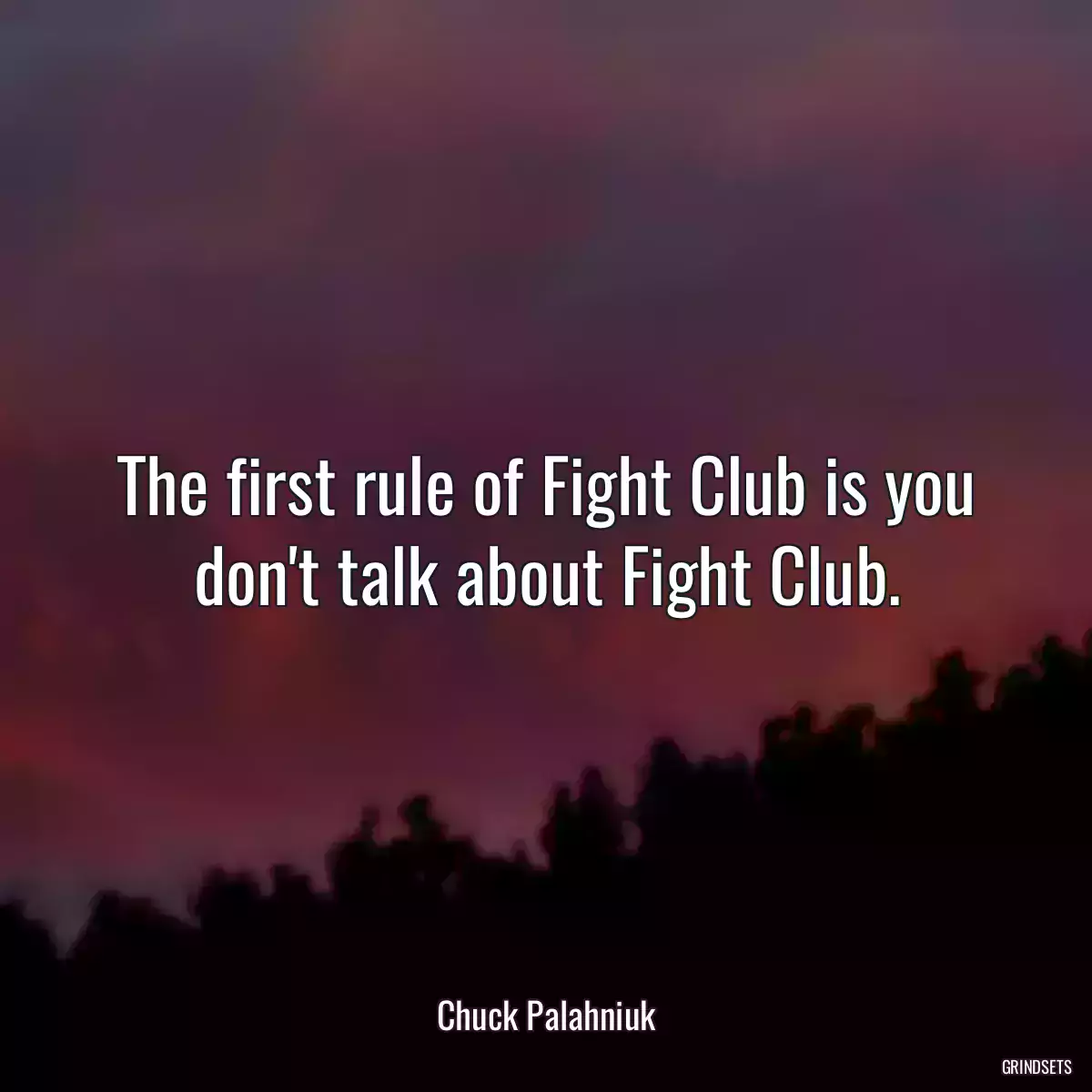 The first rule of Fight Club is you don\'t talk about Fight Club.