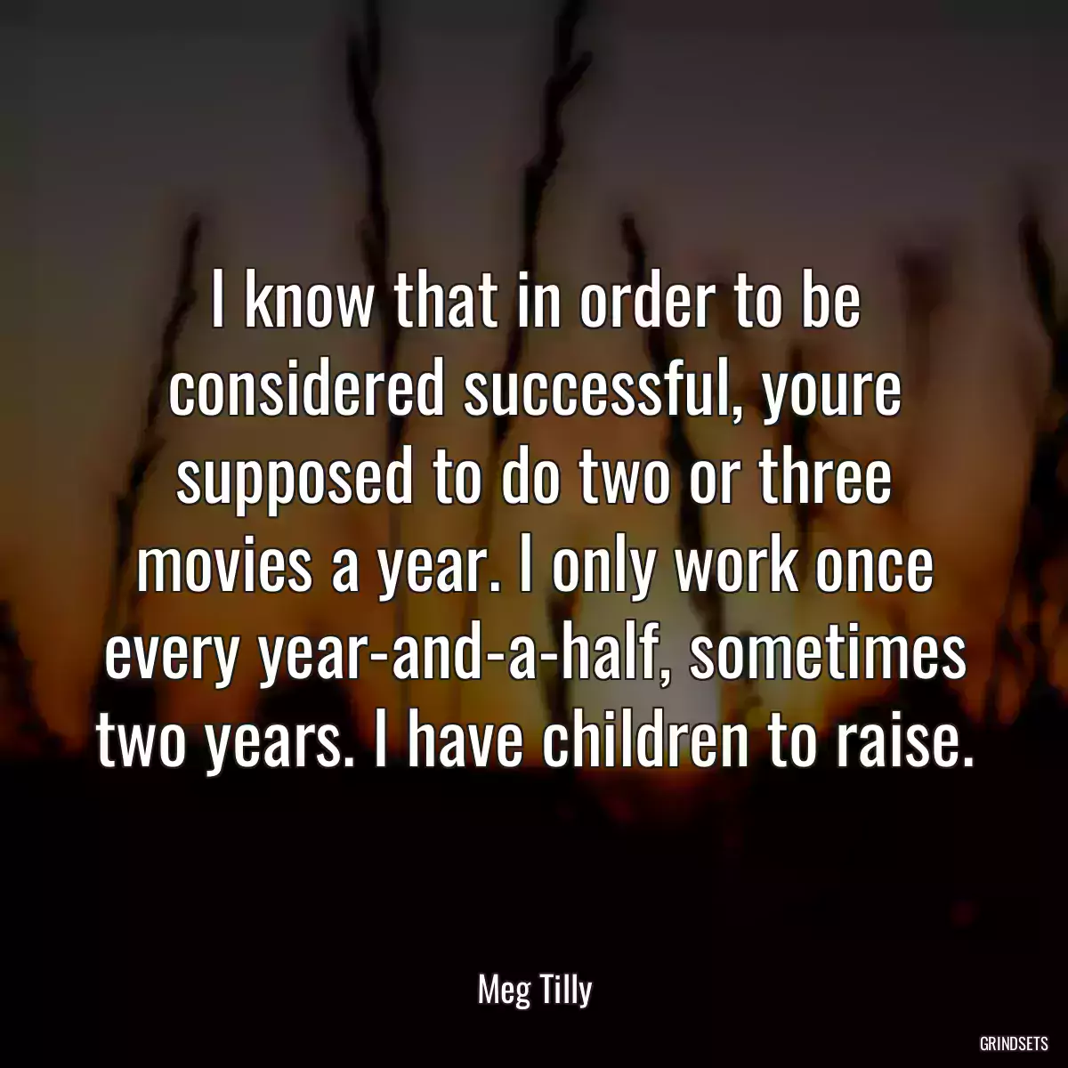 I know that in order to be considered successful, youre supposed to do two or three movies a year. I only work once every year-and-a-half, sometimes two years. I have children to raise.