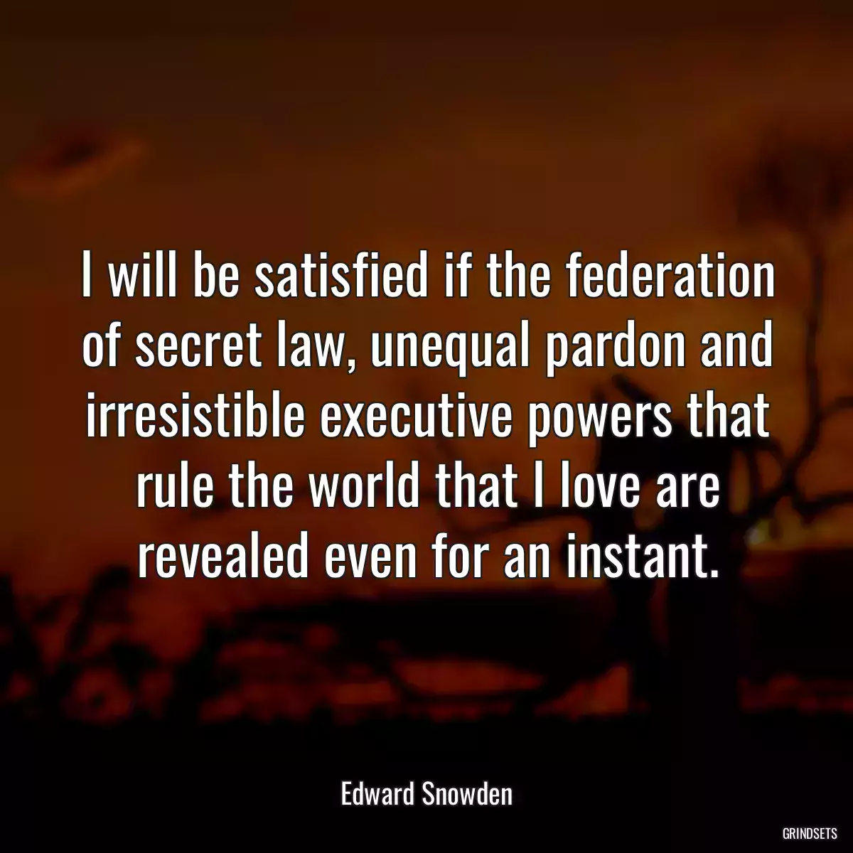 I will be satisfied if the federation of secret law, unequal pardon and irresistible executive powers that rule the world that I love are revealed even for an instant.