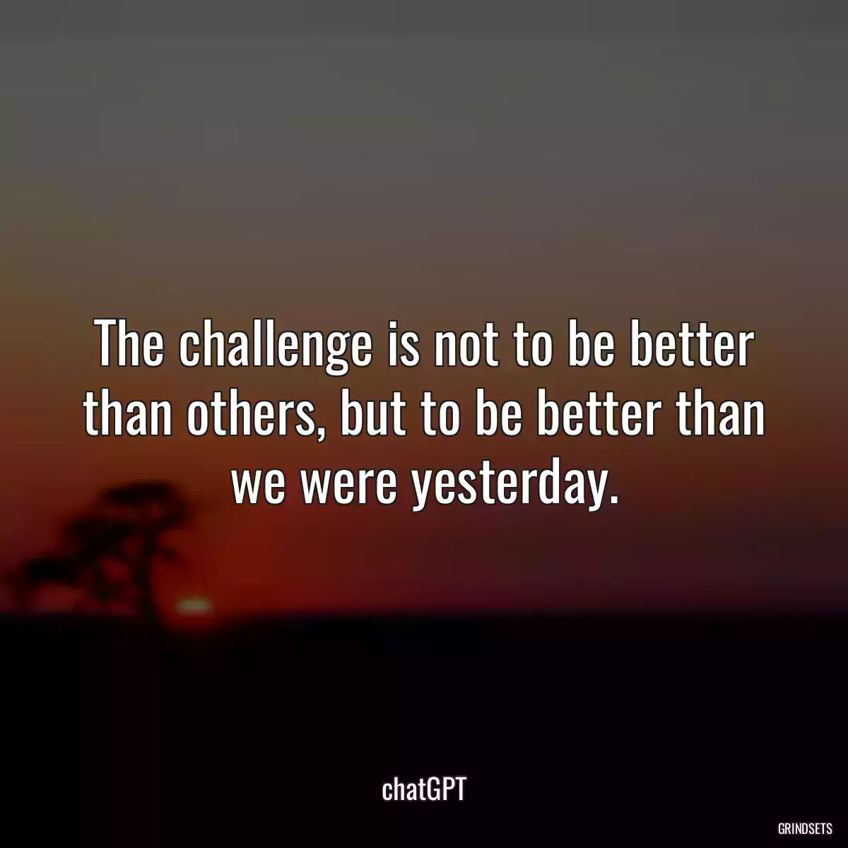 The challenge is not to be better than others, but to be better than we were yesterday.