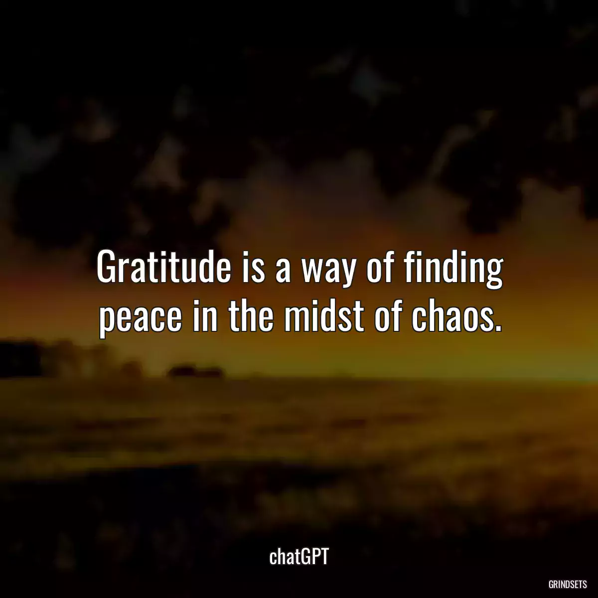 Gratitude is a way of finding peace in the midst of chaos.