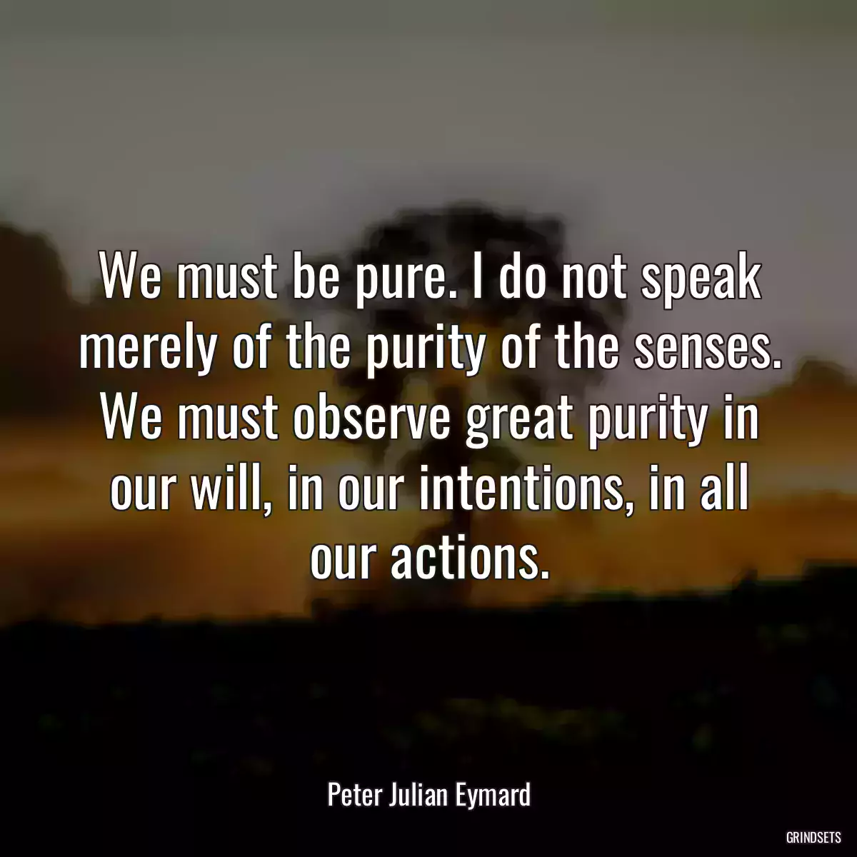 We must be pure. I do not speak merely of the purity of the senses. We must observe great purity in our will, in our intentions, in all our actions.