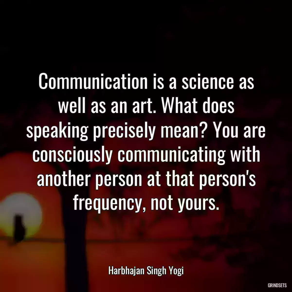 Communication is a science as well as an art. What does speaking precisely mean? You are consciously communicating with another person at that person\'s frequency, not yours.