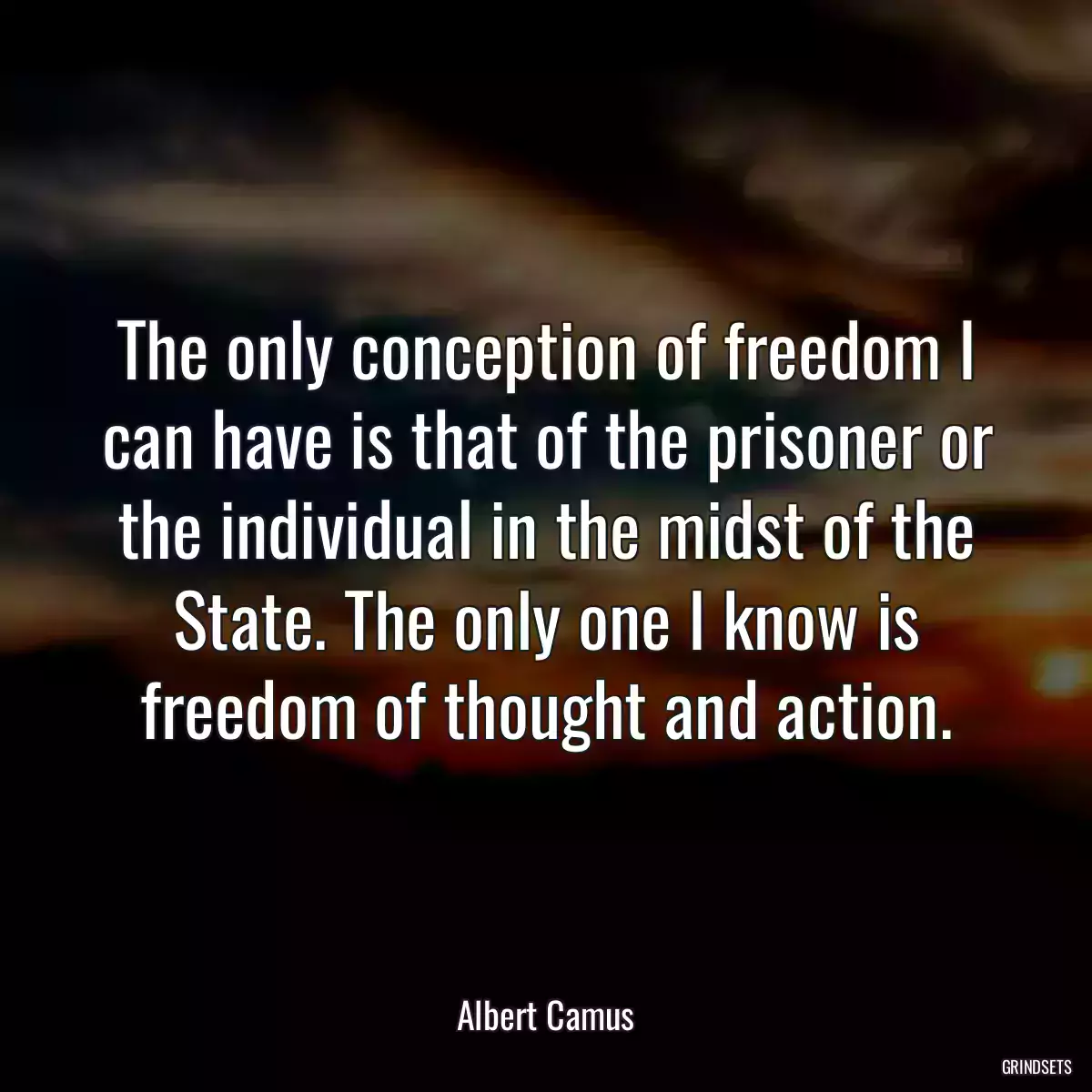 The only conception of freedom I can have is that of the prisoner or the individual in the midst of the State. The only one I know is freedom of thought and action.