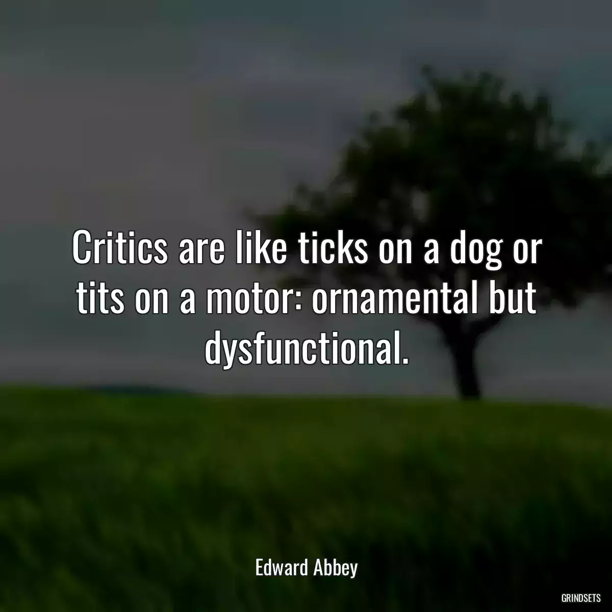 Critics are like ticks on a dog or tits on a motor: ornamental but dysfunctional.