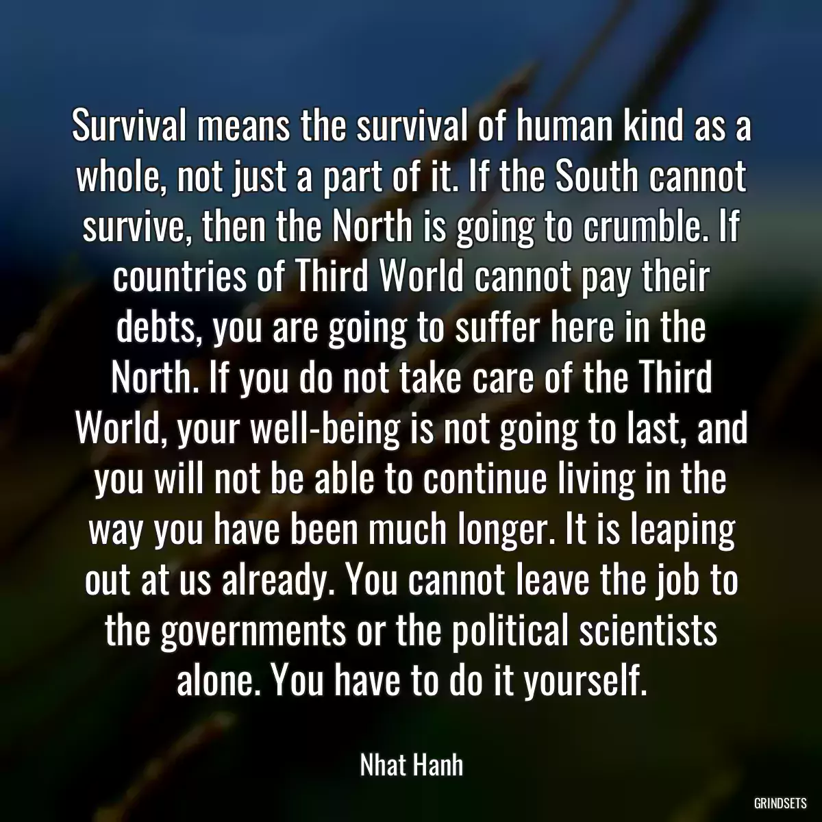 Survival means the survival of human kind as a whole, not just a part of it. If the South cannot survive, then the North is going to crumble. If countries of Third World cannot pay their debts, you are going to suffer here in the North. If you do not take care of the Third World, your well-being is not going to last, and you will not be able to continue living in the way you have been much longer. It is leaping out at us already. You cannot leave the job to the governments or the political scientists alone. You have to do it yourself.