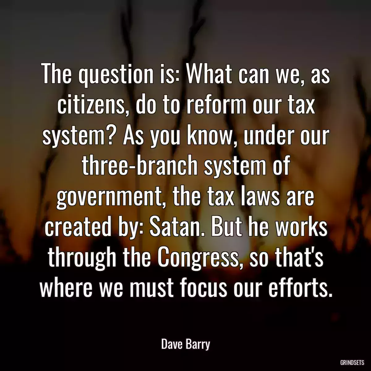 The question is: What can we, as citizens, do to reform our tax system? As you know, under our three-branch system of government, the tax laws are created by: Satan. But he works through the Congress, so that\'s where we must focus our efforts.