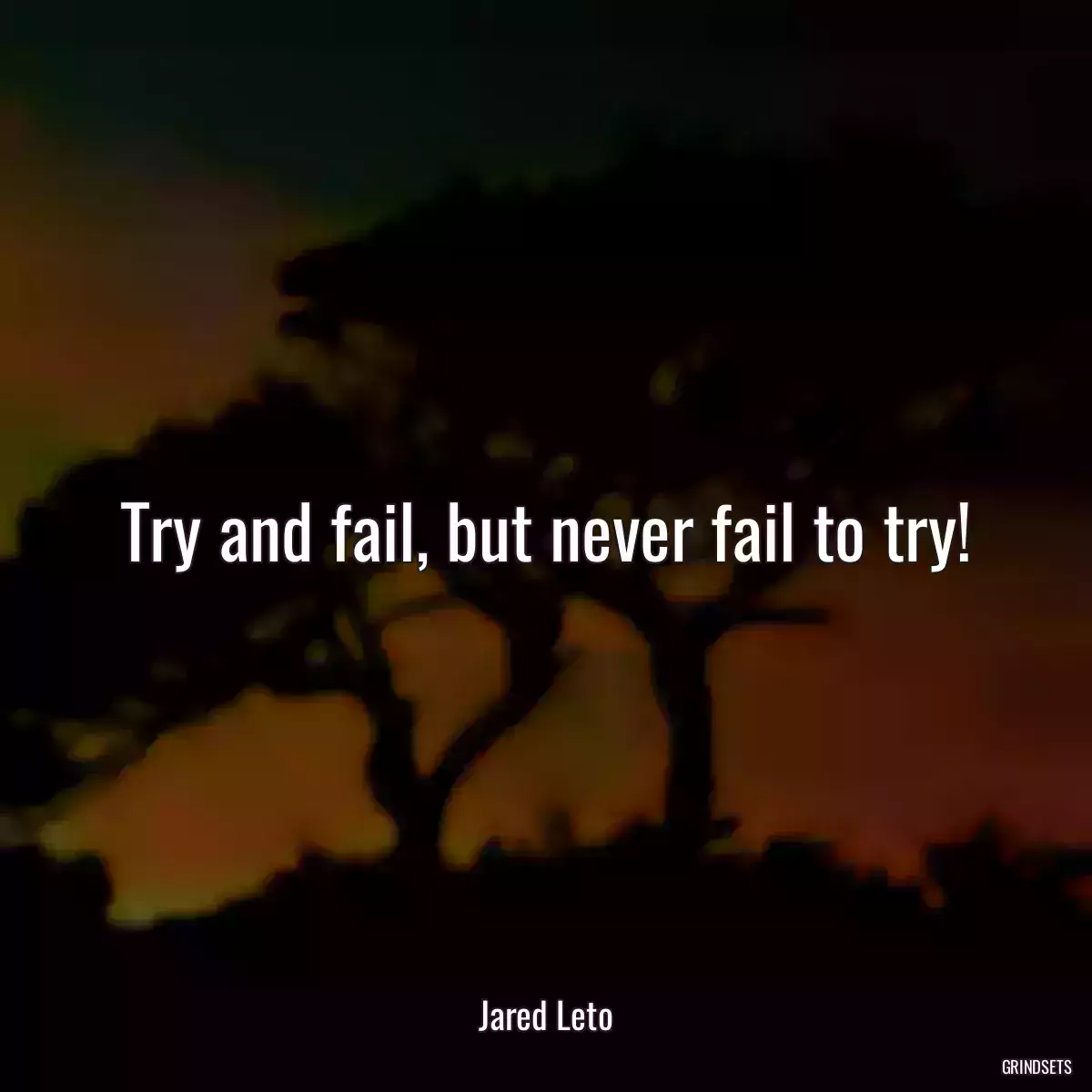 Try and fail, but never fail to try!