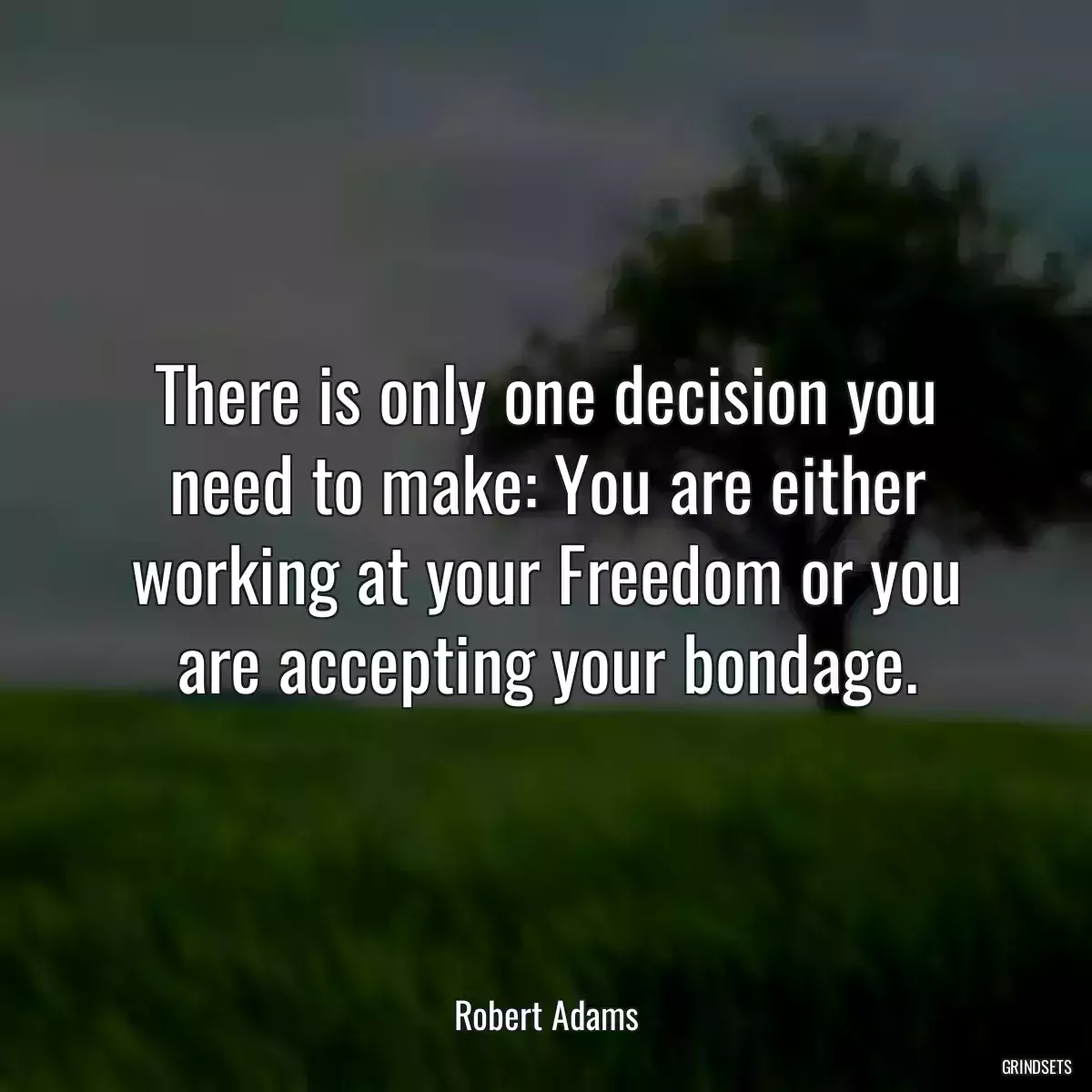 There is only one decision you need to make: You are either working at your Freedom or you are accepting your bondage.