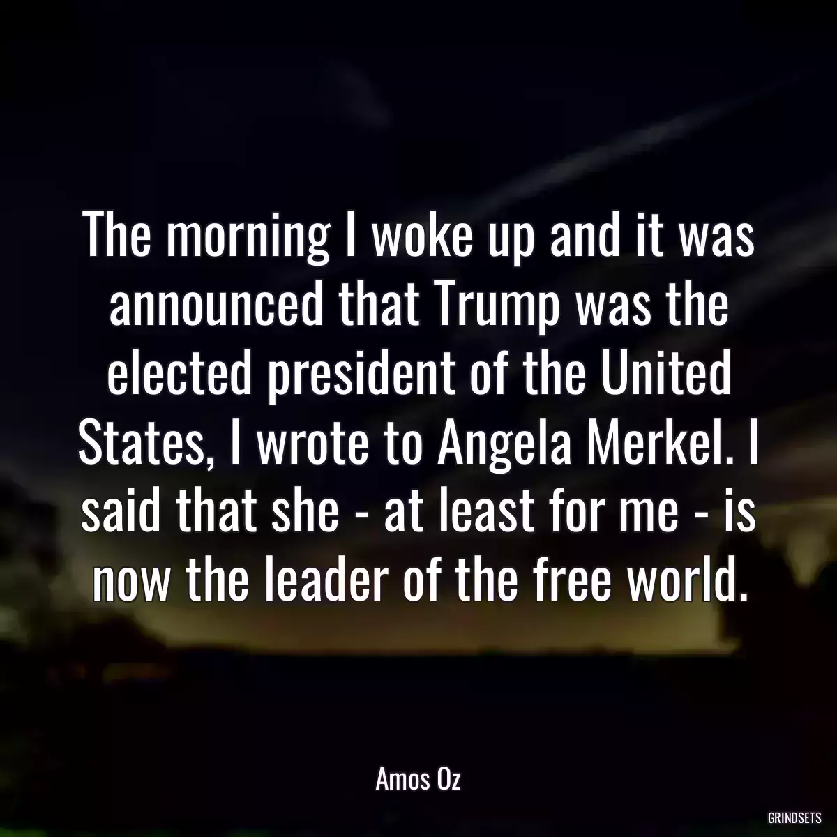 The morning I woke up and it was announced that Trump was the elected president of the United States, I wrote to Angela Merkel. I said that she - at least for me - is now the leader of the free world.