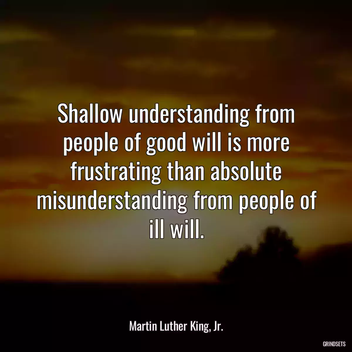 Shallow understanding from people of good will is more frustrating than absolute misunderstanding from people of ill will.