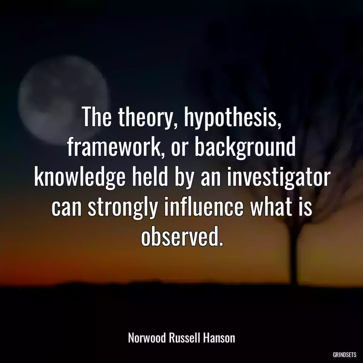 The theory, hypothesis, framework, or background knowledge held by an investigator can strongly influence what is observed.