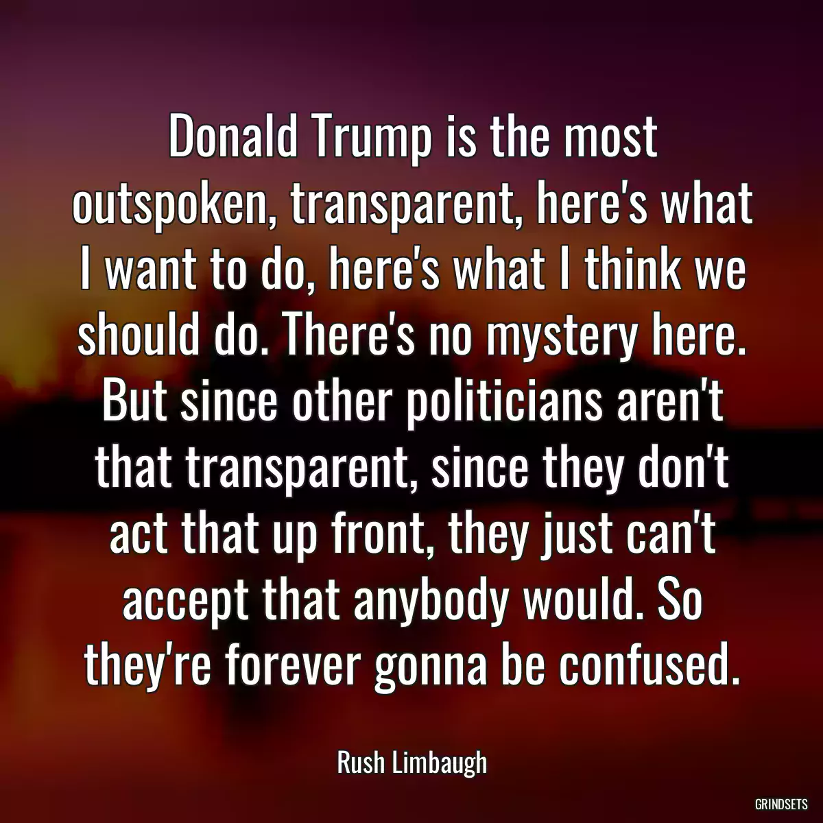 Donald Trump is the most outspoken, transparent, here\'s what I want to do, here\'s what I think we should do. There\'s no mystery here. But since other politicians aren\'t that transparent, since they don\'t act that up front, they just can\'t accept that anybody would. So they\'re forever gonna be confused.