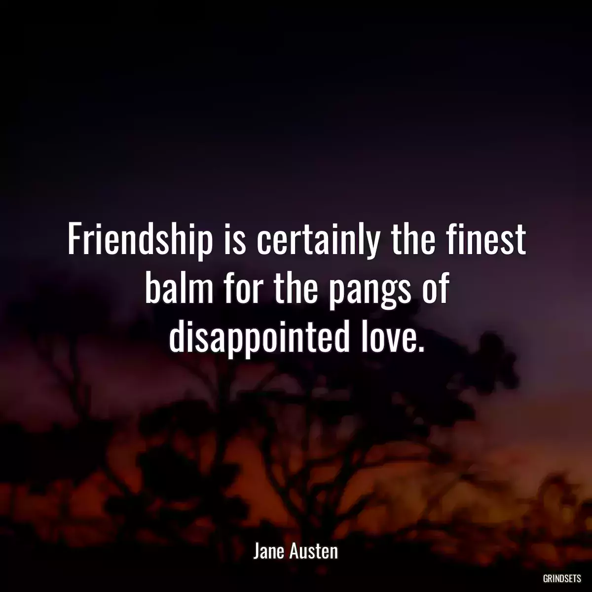 Friendship is certainly the finest balm for the pangs of disappointed love.