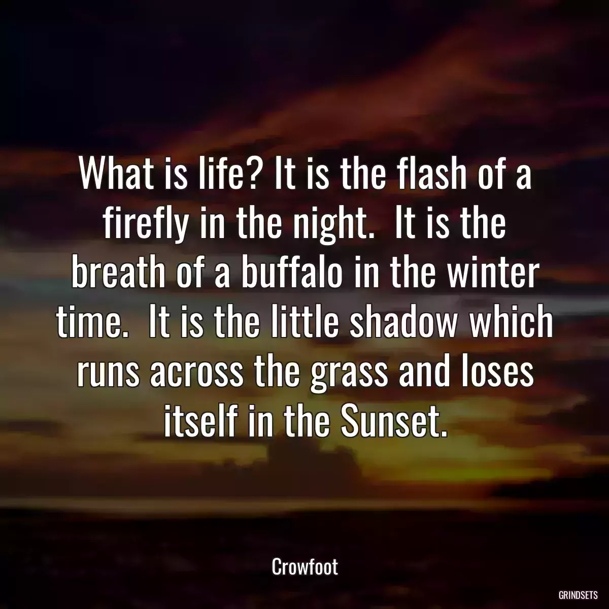 What is life? It is the flash of a firefly in the night.  It is the breath of a buffalo in the winter time.  It is the little shadow which runs across the grass and loses itself in the Sunset.