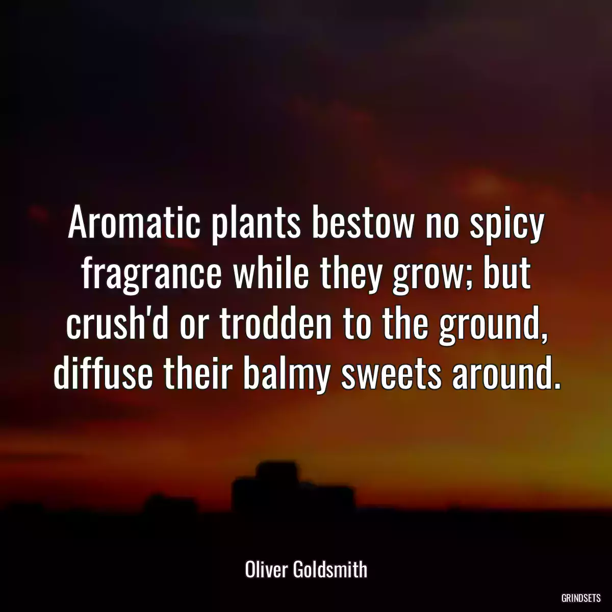 Aromatic plants bestow no spicy fragrance while they grow; but crush\'d or trodden to the ground, diffuse their balmy sweets around.