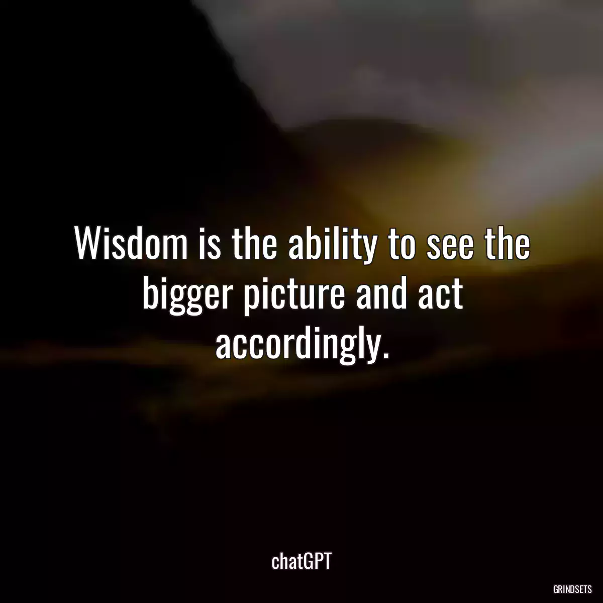 Wisdom is the ability to see the bigger picture and act accordingly.