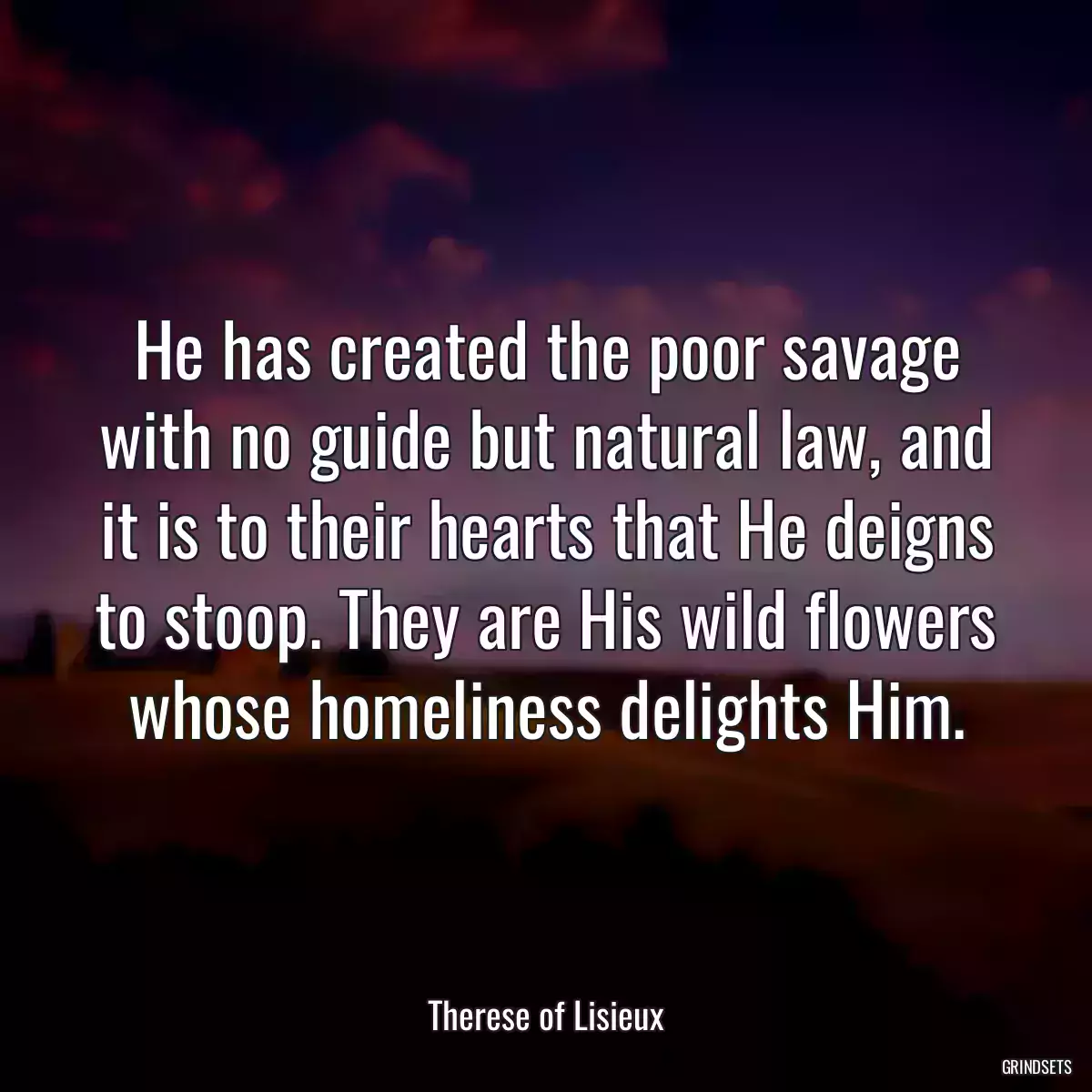 He has created the poor savage with no guide but natural law, and it is to their hearts that He deigns to stoop. They are His wild flowers whose homeliness delights Him.