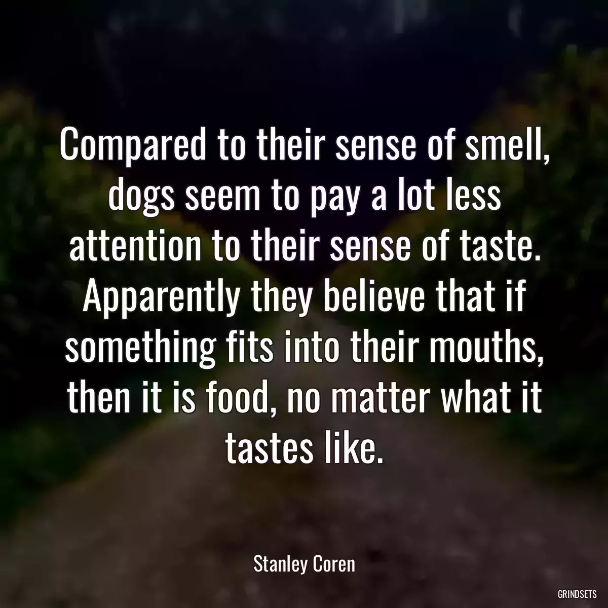 Compared to their sense of smell, dogs seem to pay a lot less attention to their sense of taste. Apparently they believe that if something fits into their mouths, then it is food, no matter what it tastes like.