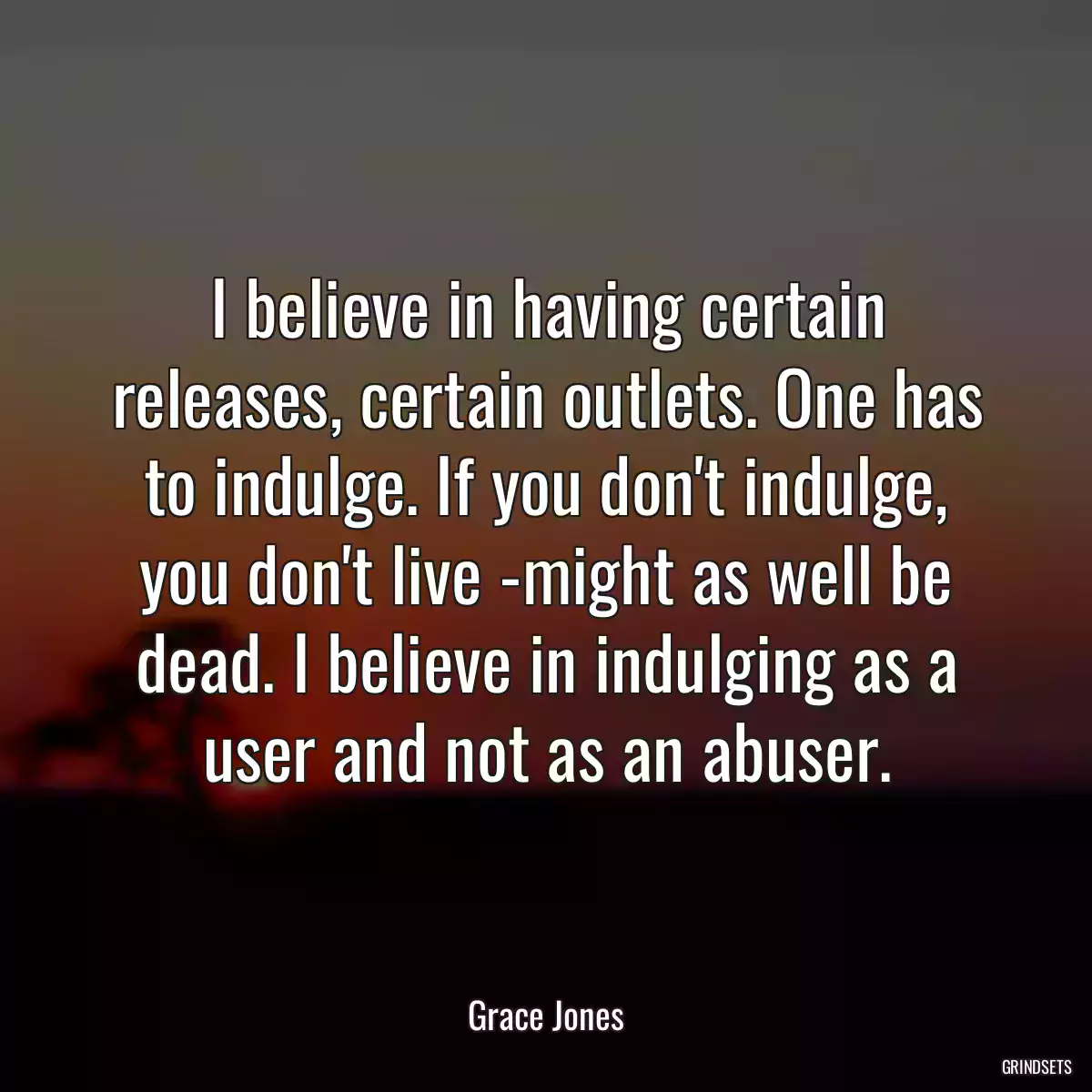 I believe in having certain releases, certain outlets. One has to indulge. If you don\'t indulge, you don\'t live -might as well be dead. I believe in indulging as a user and not as an abuser.