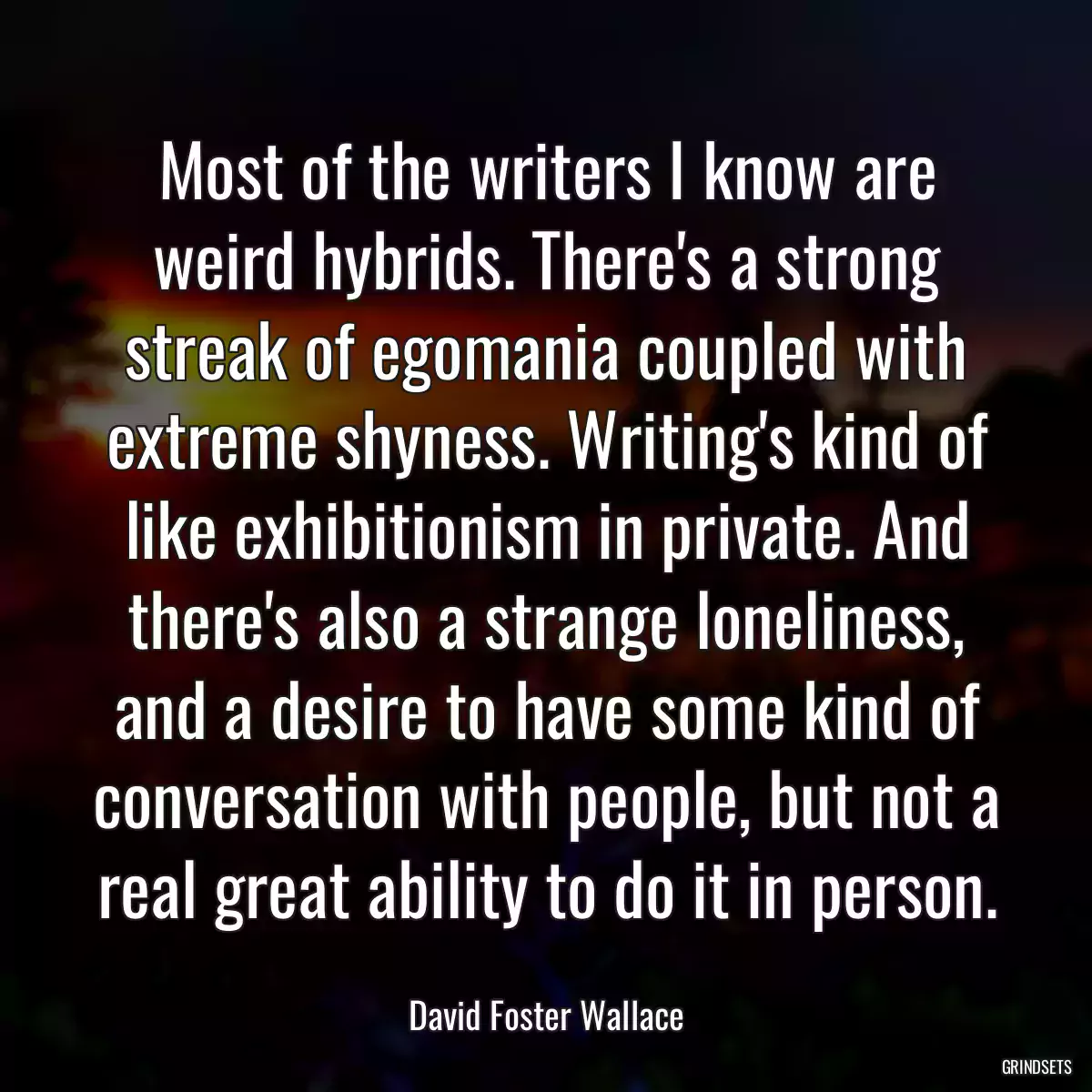 Most of the writers I know are weird hybrids. There\'s a strong streak of egomania coupled with extreme shyness. Writing\'s kind of like exhibitionism in private. And there\'s also a strange loneliness, and a desire to have some kind of conversation with people, but not a real great ability to do it in person.