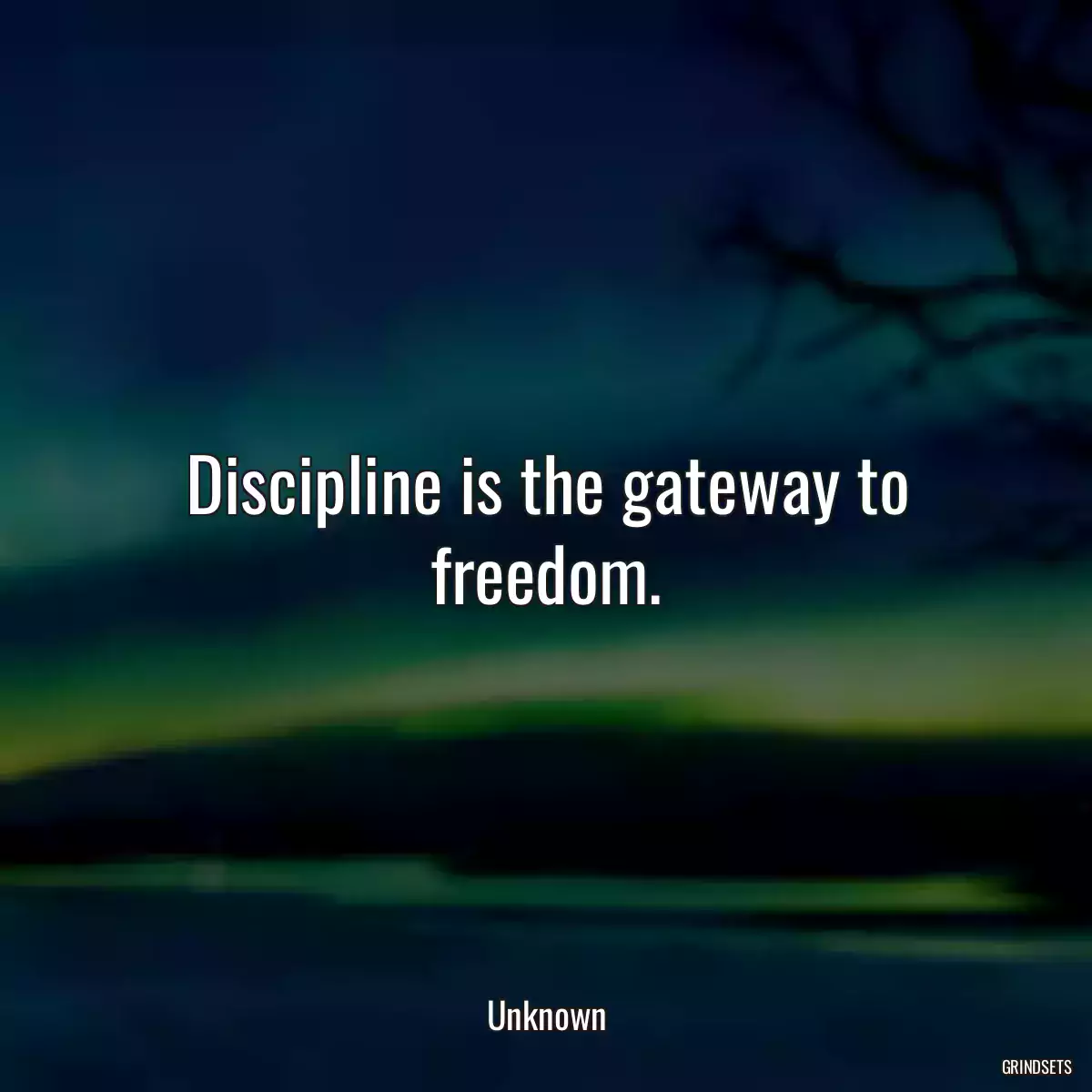 Discipline is the gateway to freedom.