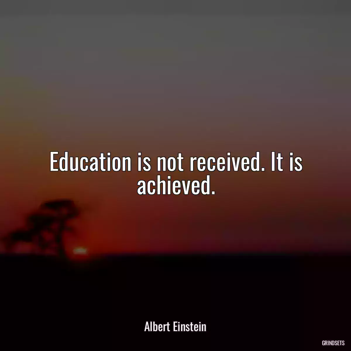 Education is not received. It is achieved.