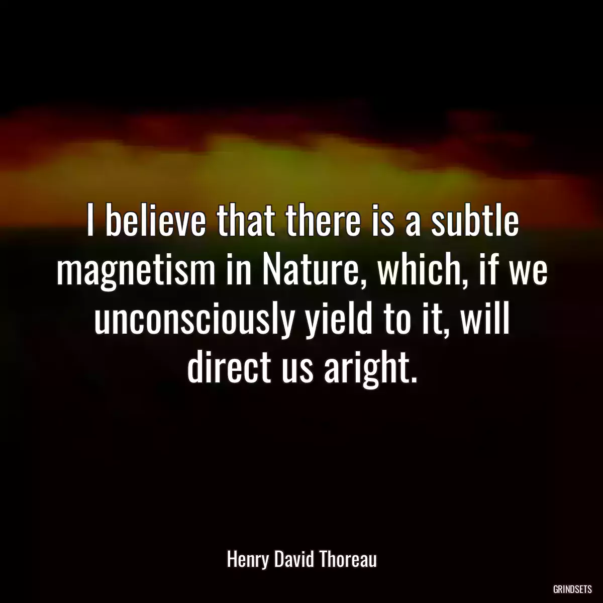 I believe that there is a subtle magnetism in Nature, which, if we unconsciously yield to it, will direct us aright.