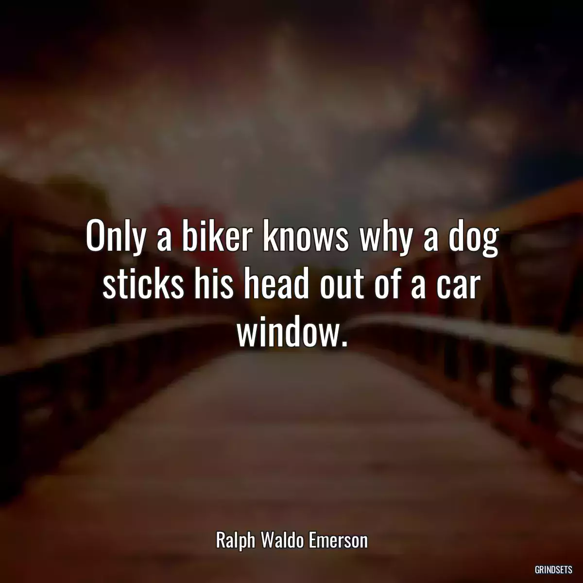 Only a biker knows why a dog sticks his head out of a car window.