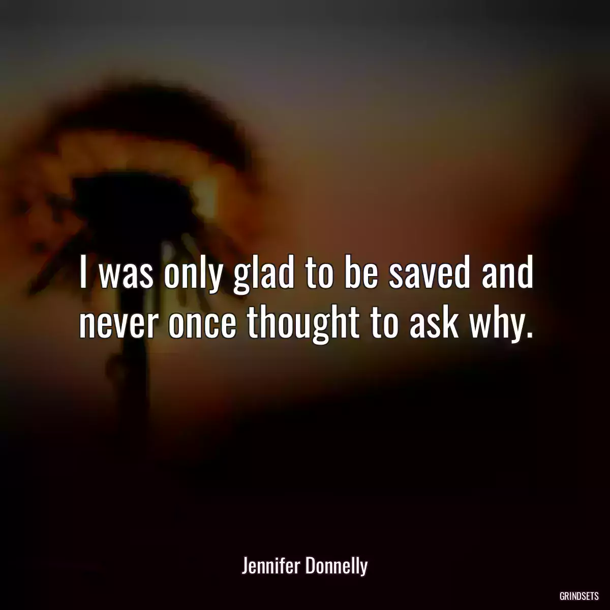 I was only glad to be saved and never once thought to ask why.