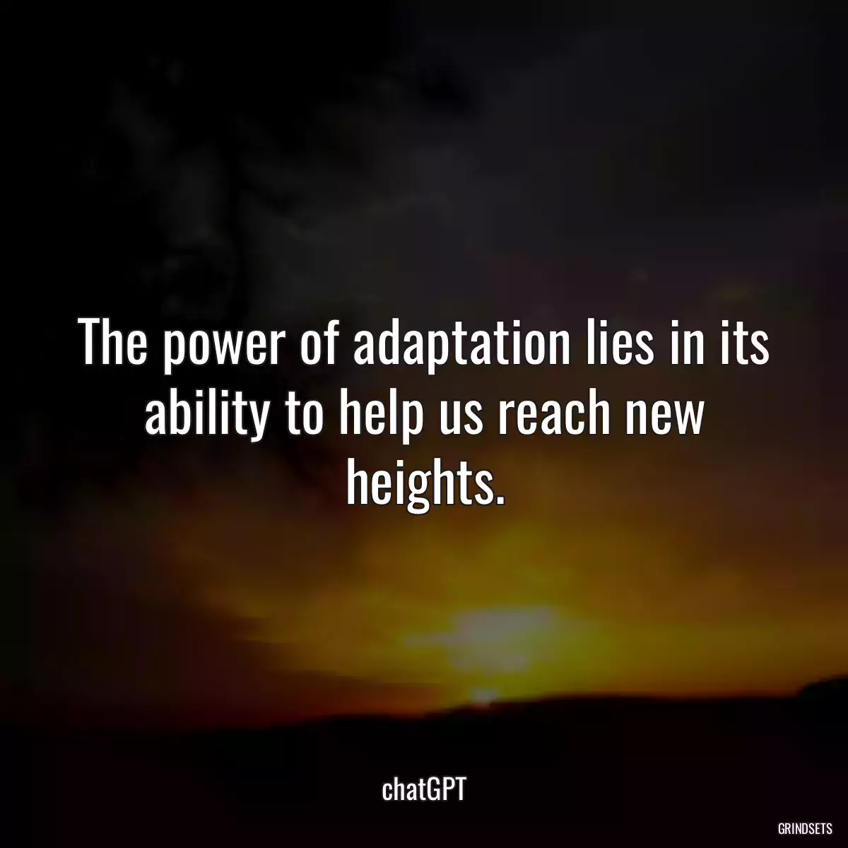 The power of adaptation lies in its ability to help us reach new heights.