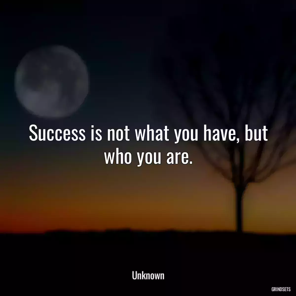 Success is not what you have, but who you are.
