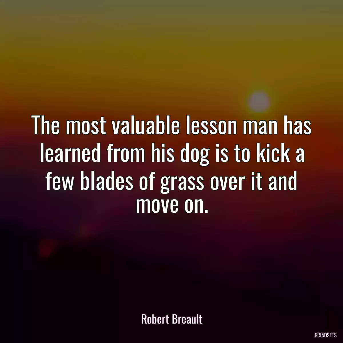 The most valuable lesson man has learned from his dog is to kick a few blades of grass over it and move on.