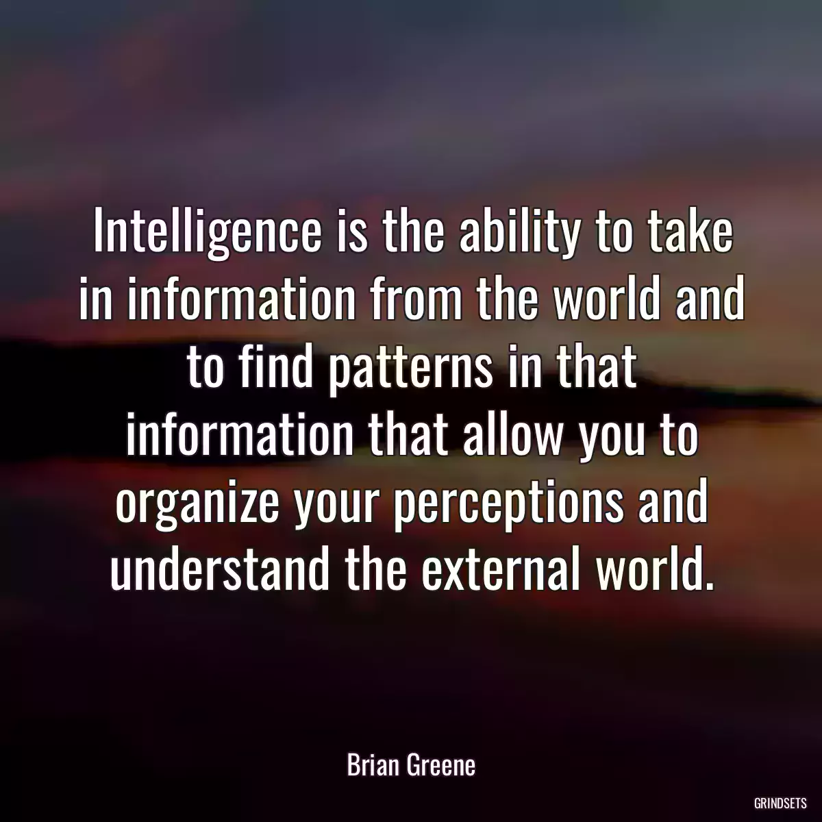 Intelligence is the ability to take in information from the world and to find patterns in that information that allow you to organize your perceptions and understand the external world.