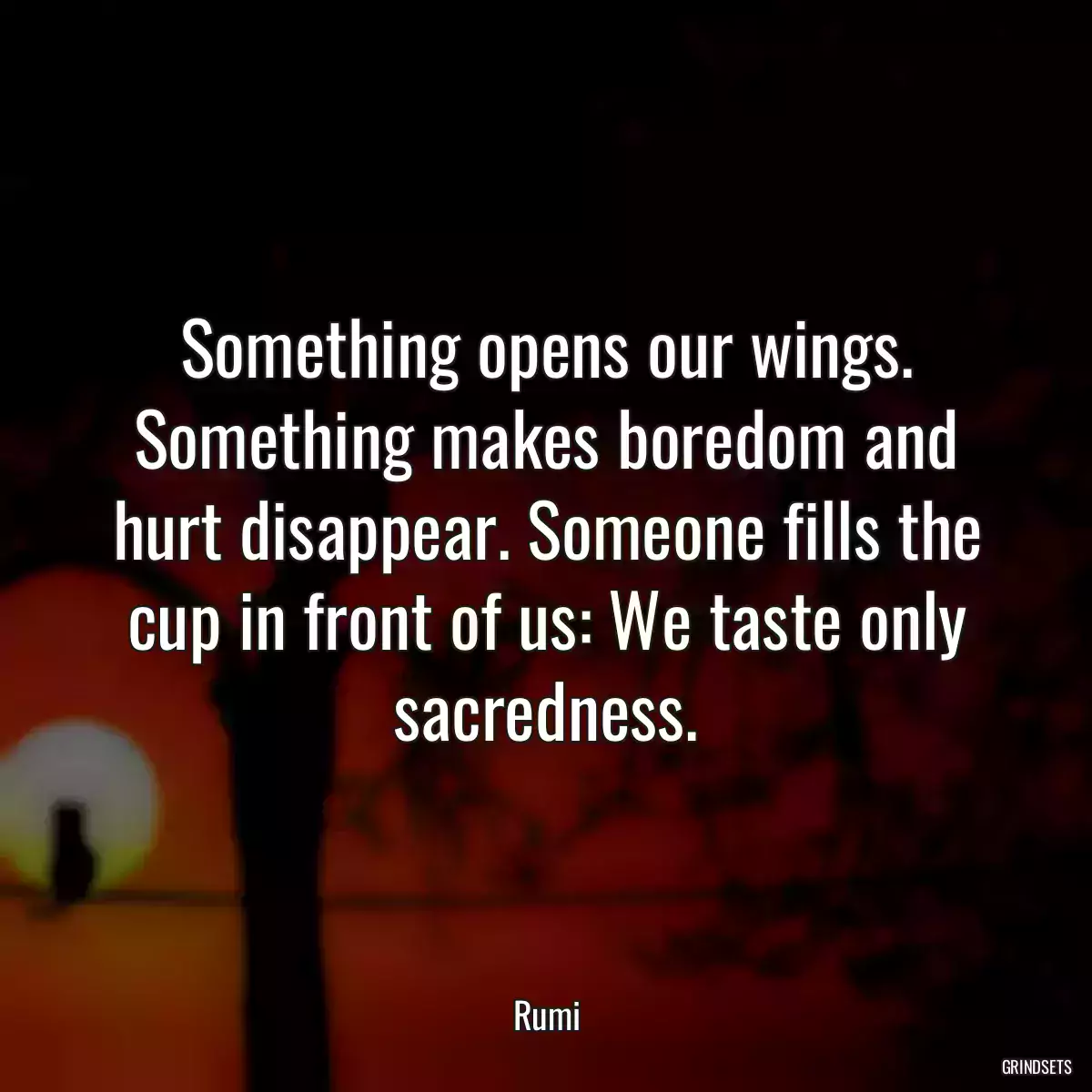 Something opens our wings. Something makes boredom and hurt disappear. Someone fills the cup in front of us: We taste only sacredness.