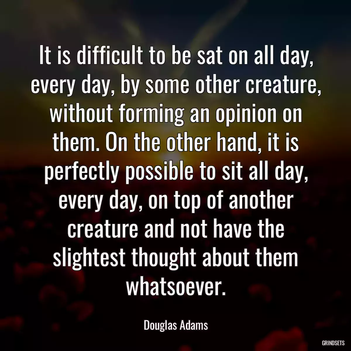 It is difficult to be sat on all day, every day, by some other creature, without forming an opinion on them. On the other hand, it is perfectly possible to sit all day, every day, on top of another creature and not have the slightest thought about them whatsoever.