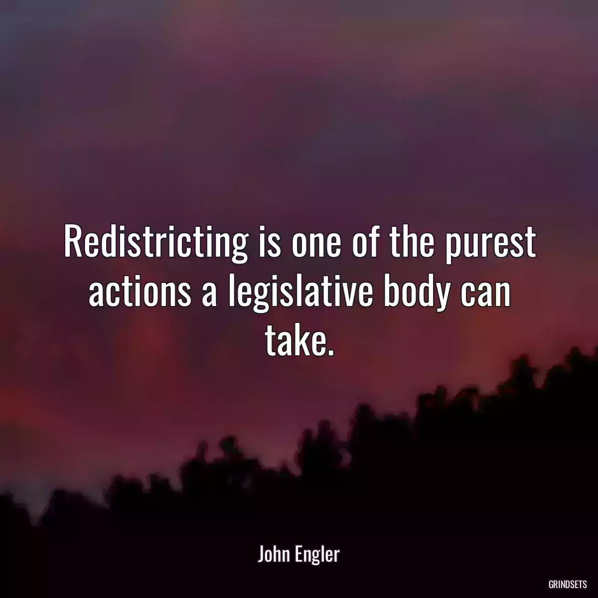 Redistricting is one of the purest actions a legislative body can take.