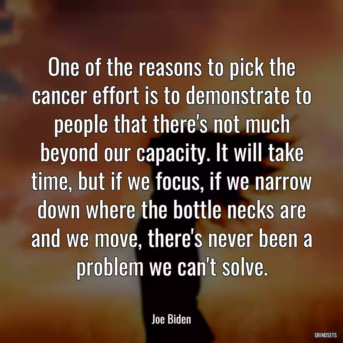 One of the reasons to pick the cancer effort is to demonstrate to people that there\'s not much beyond our capacity. It will take time, but if we focus, if we narrow down where the bottle necks are and we move, there\'s never been a problem we can\'t solve.