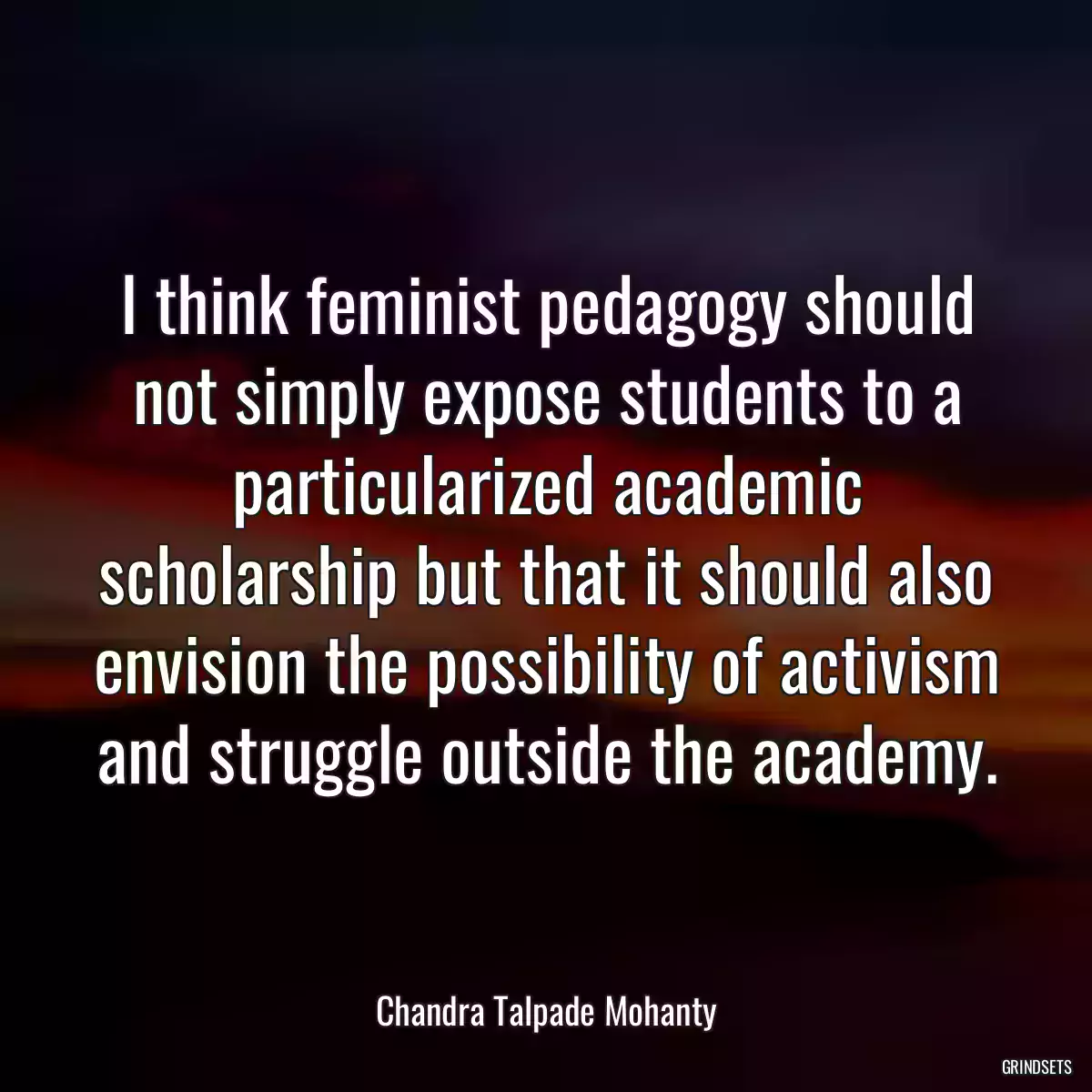 I think feminist pedagogy should not simply expose students to a particularized academic scholarship but that it should also envision the possibility of activism and struggle outside the academy.