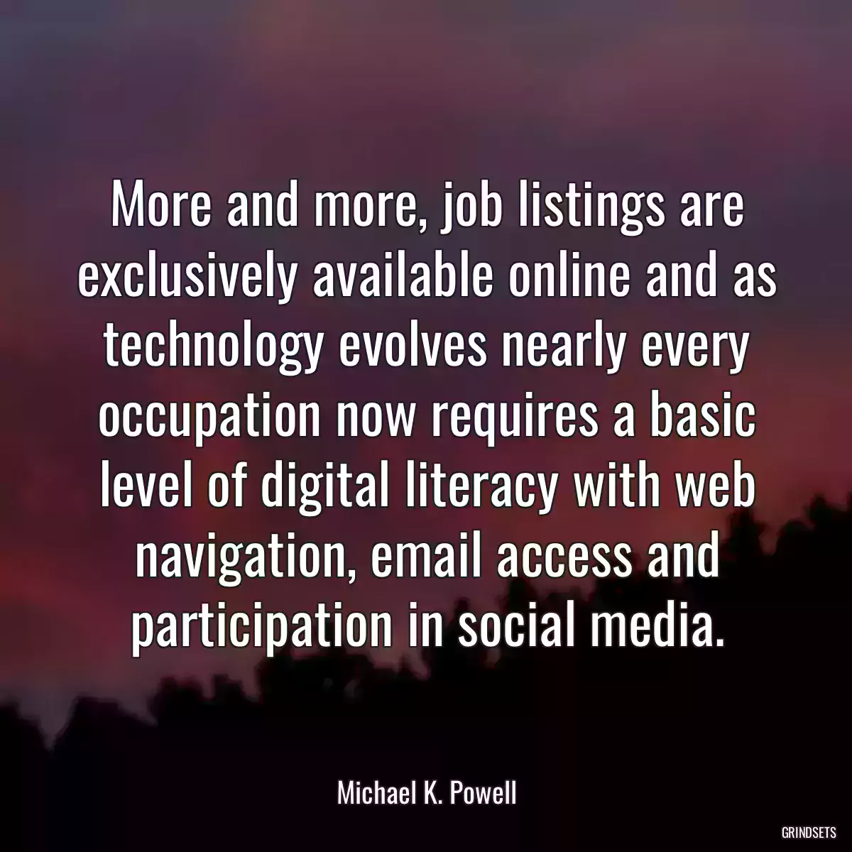 More and more, job listings are exclusively available online and as technology evolves nearly every occupation now requires a basic level of digital literacy with web navigation, email access and participation in social media.