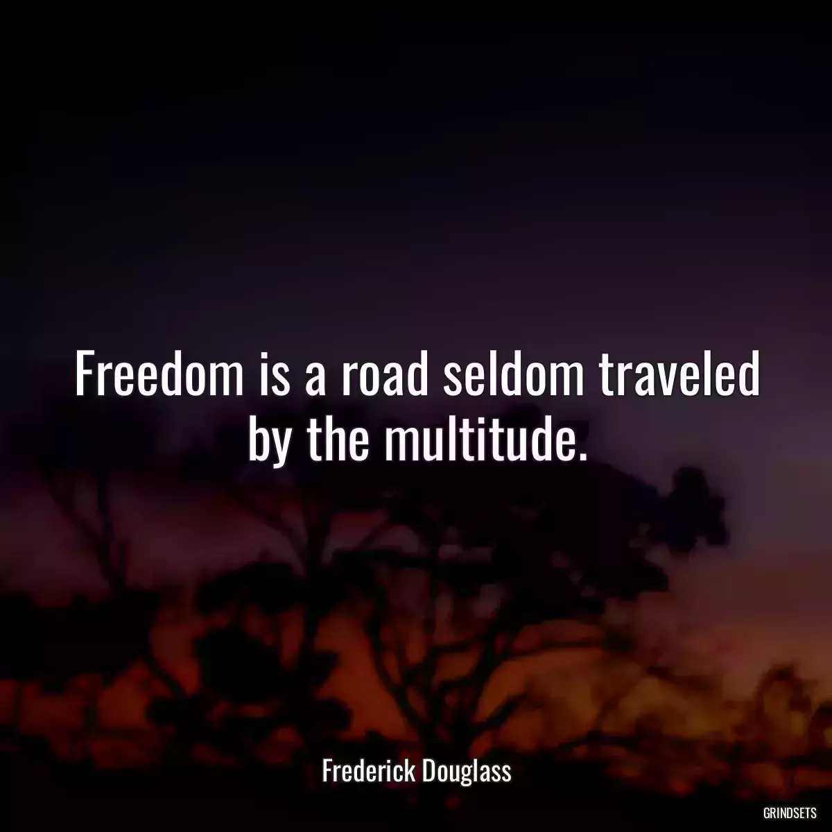 Freedom is a road seldom traveled by the multitude.