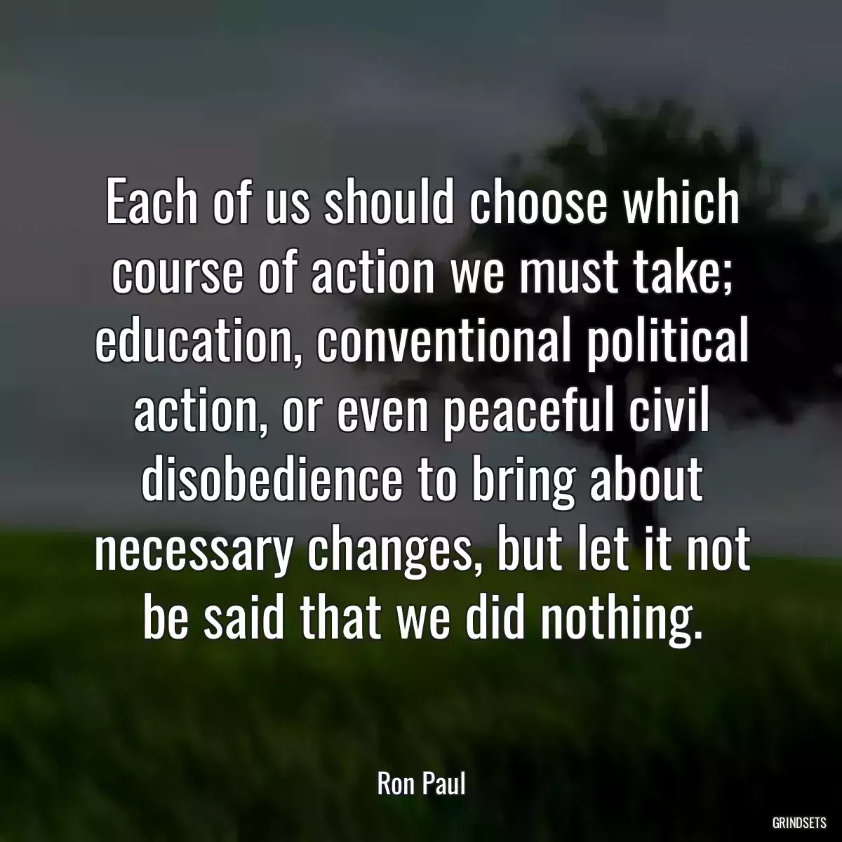 Each of us should choose which course of action we must take; education, conventional political action, or even peaceful civil disobedience to bring about necessary changes, but let it not be said that we did nothing.